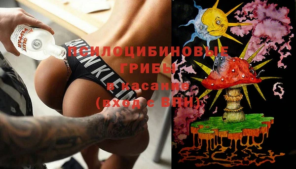 дурь Пролетарск