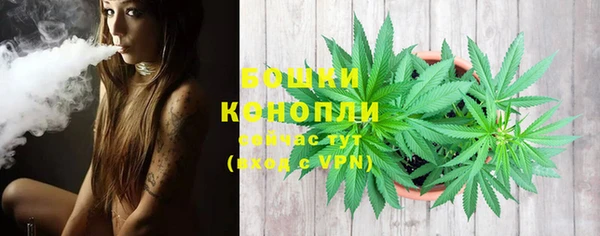 шишки Абдулино